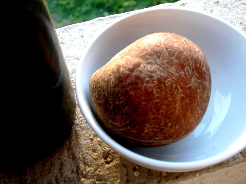 coconut-recipes-store-grated-coconut