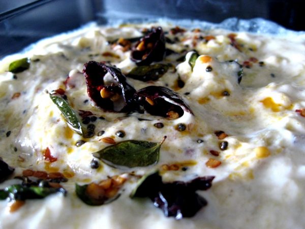 image.67759.jpg Chargrilled Eggplant in Yoghurt