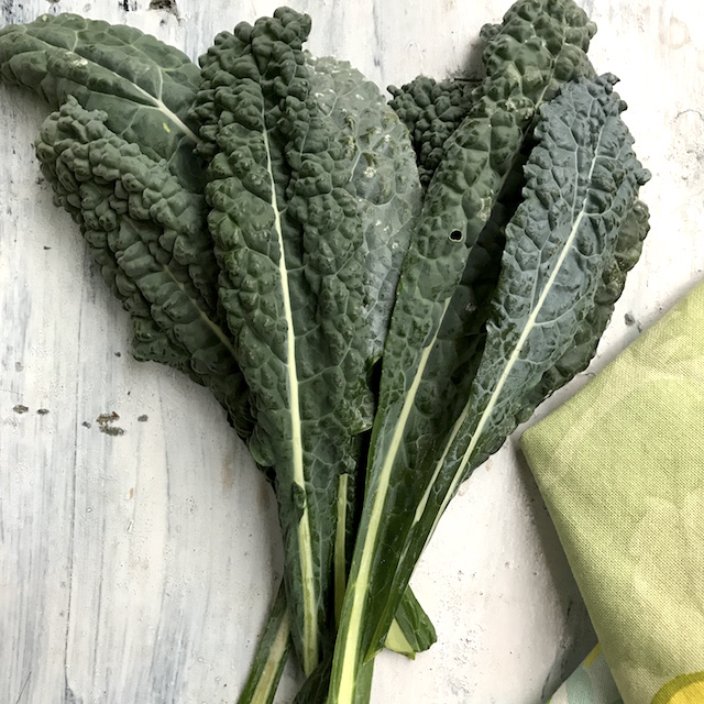 growing-kale-chips-india