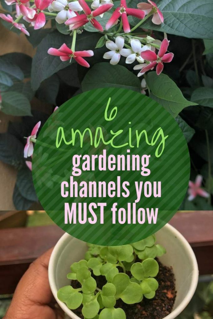 6 Best Home Gardening Youtube channels from India that you MUST follow