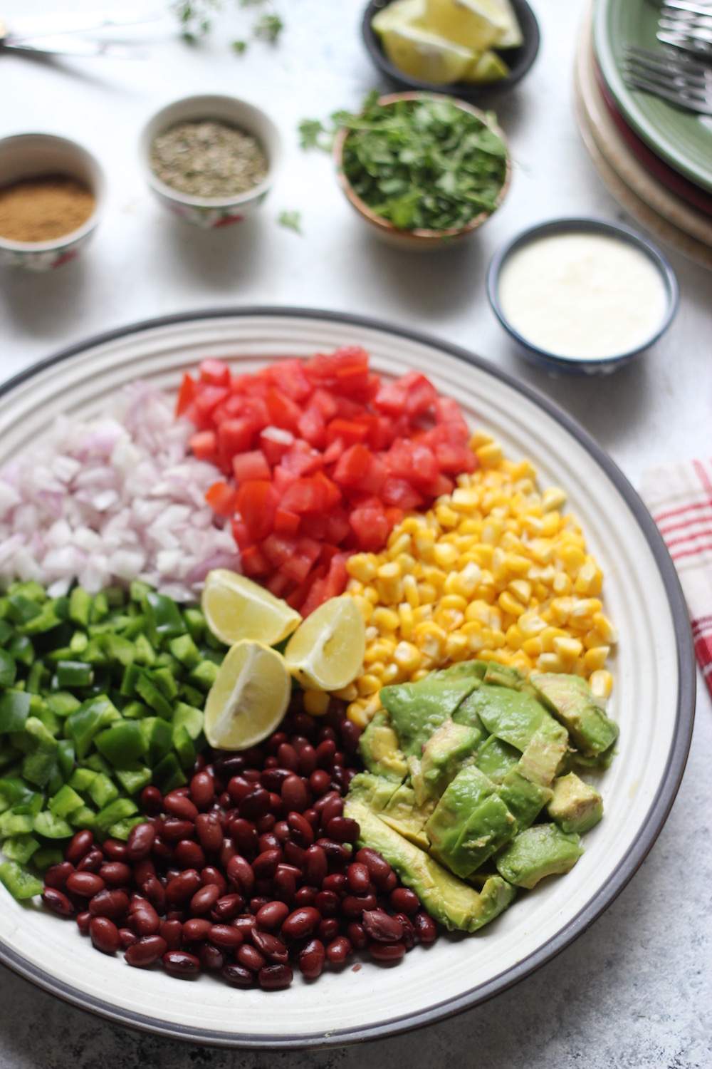 Stunning Rainbow Mexican Salad Platter Fit For a Party | Gluten Free ...