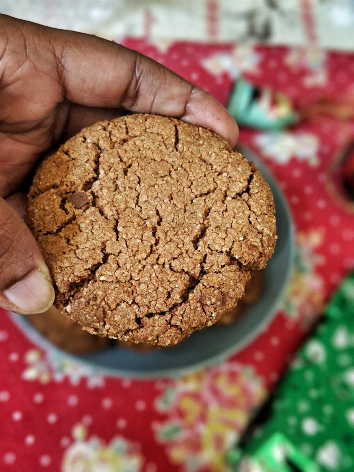 oats peanut butter cookies